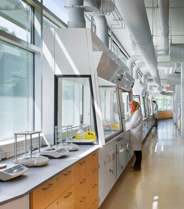My First Lab - Payette