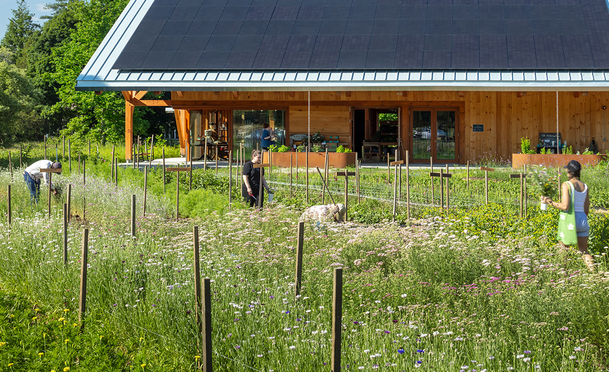 Land's Sake: A Net-Zero Farm - Payette