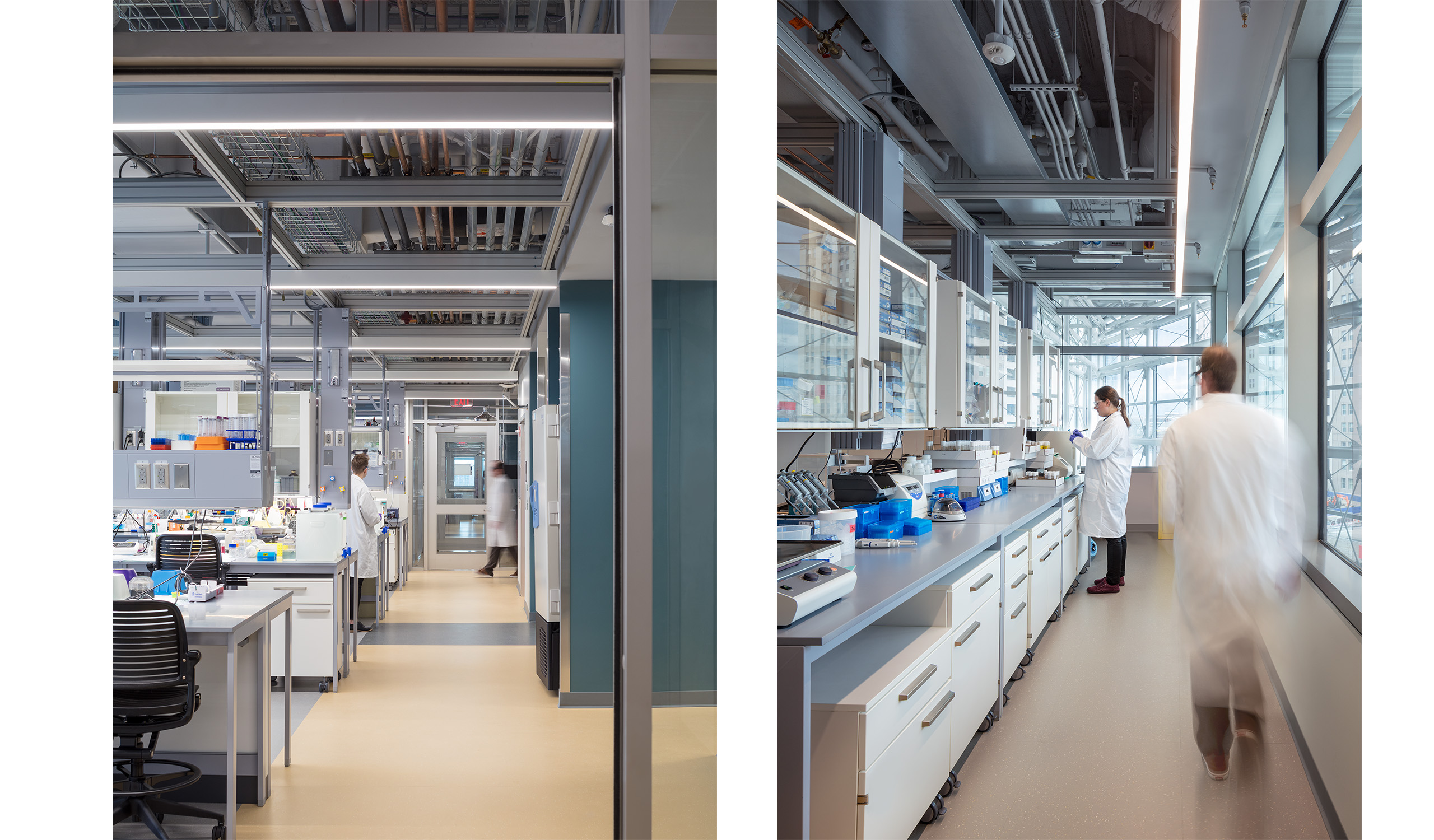 Bossone Research Lab Renovation and Fit-Out - Payette